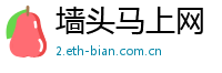 墙头马上网